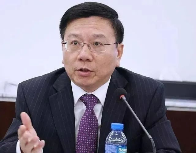 顾敏康（图源：人民日报）