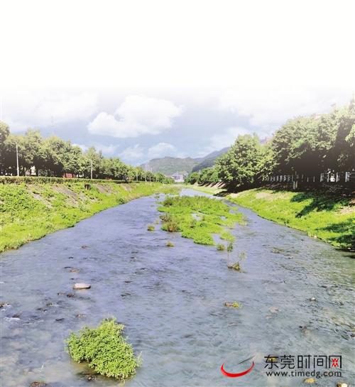 ■樟木头官仓河经过综合治理后，真正还水于民、还岸与民