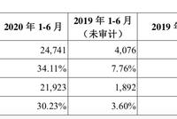 解剖蚂蚁:上半年净利219亿已超去年全年 技术收入超六成