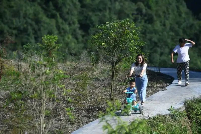 ▲2020年8月4日，游客在山上的步道上散步。新京报记者 王颖 摄