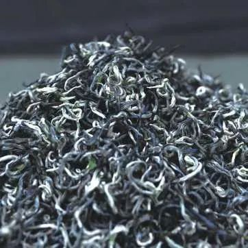 秀山毛尖 秀山县委宣传部供图