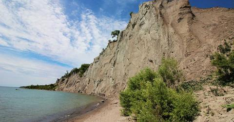 图源：社交媒体