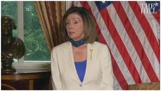 佩洛西 图源：《国会山报》