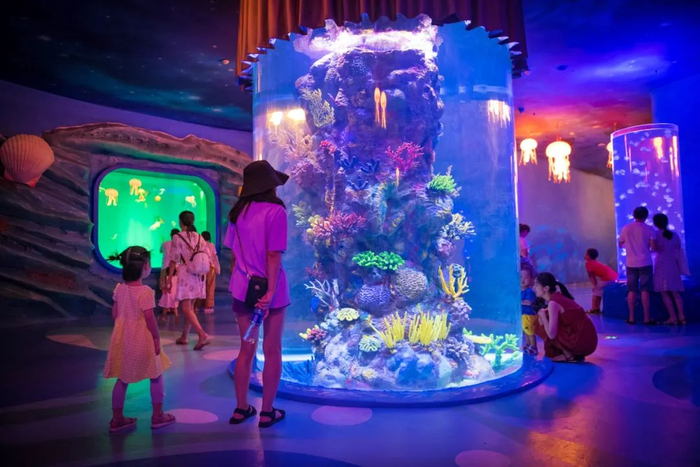 时值暑假，重庆融创文旅城海世界吸引了众多小朋友和家长前来参观游览，凉爽舒适的环境既可避暑又能让孩子们近距离观赏海洋生物，增长海洋知识，乐享暑期生活。邹乐 摄