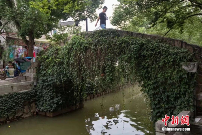 小桥流水的苏州。中新社记者 泱波 摄
