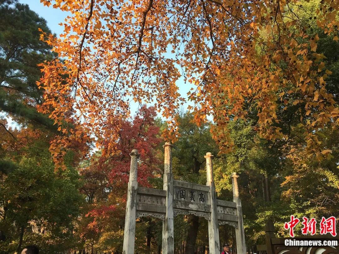 天平山。苏州市天平山风景名胜区管理处供图