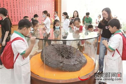 ■8月22日，东莞报业小记者俱乐部20多名小记者走进东莞国药集团药材有限公司 东莞国药供图