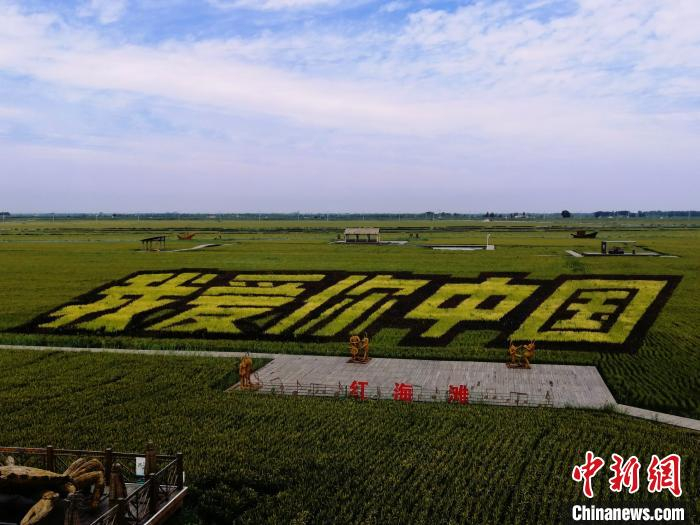 盘锦红海滩稻田画。　李晛 摄