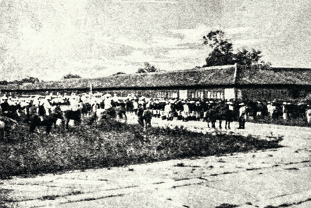 进入紫禁城前集结待命的联军。