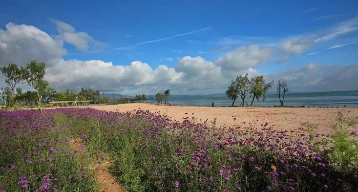 图片来源：彩龙社区