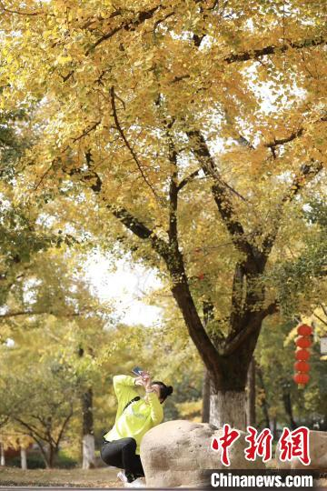 图为浙江湖州长兴小浦 房小平 摄