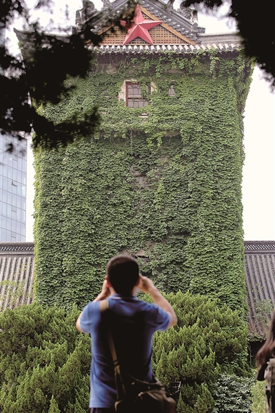  南京大学北大楼的满墙爬山虎。本报记者 宋 宁摄