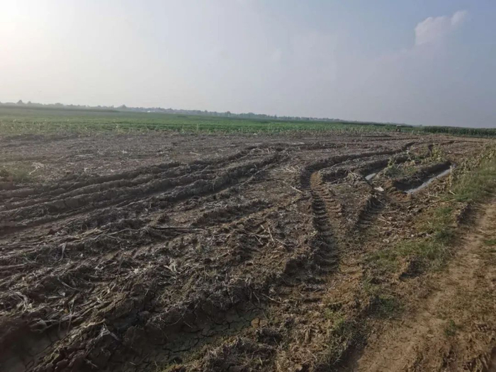 前孙楼村土地被工程车碾压