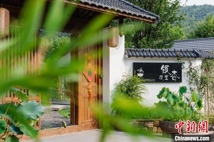 图为银杏故里民宿 银杏故里供图