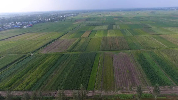 航拍养猪场选址