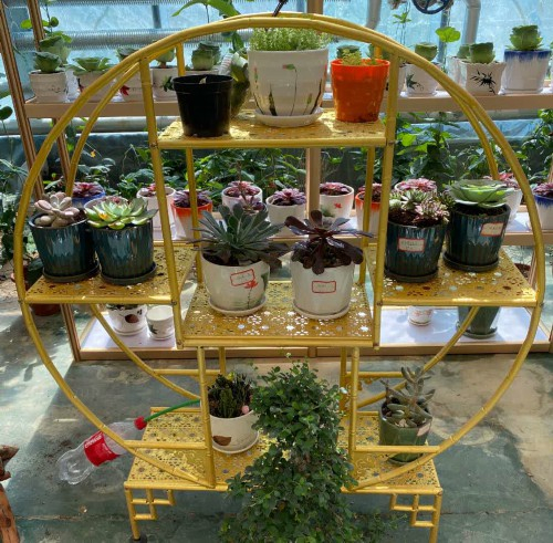 博览园一角。方莉摄