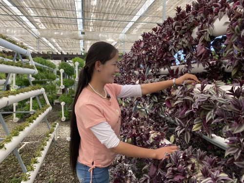 潘多正在博览园农展厅内工作。方莉摄