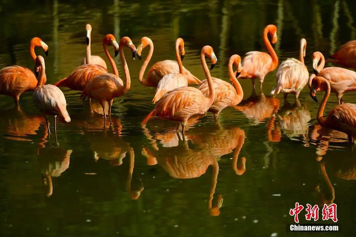 中新社记者 姬东 摄