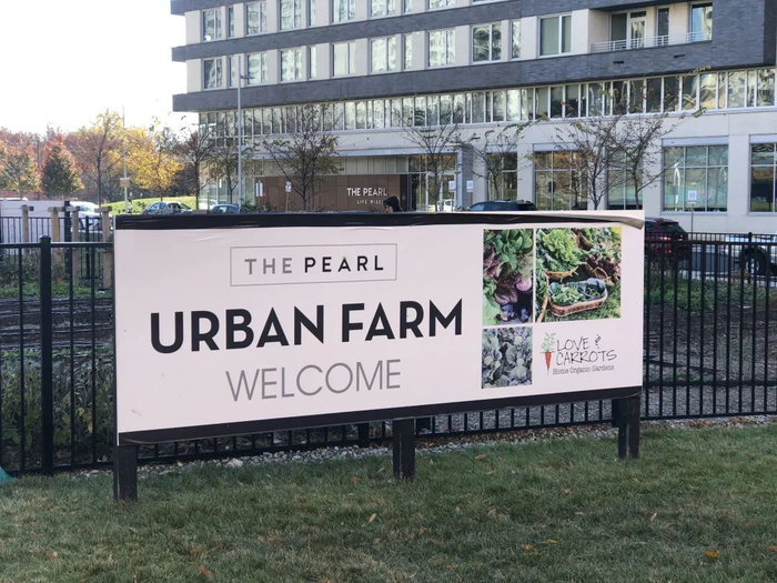 美国一处小区里的“都市农场”  金悦磊/摄