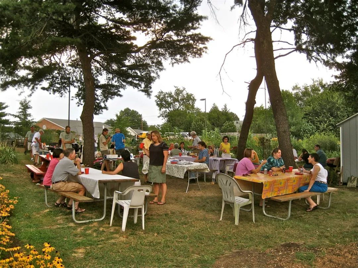 阿灵顿社区园圃里的社交活动   金悦磊/摄