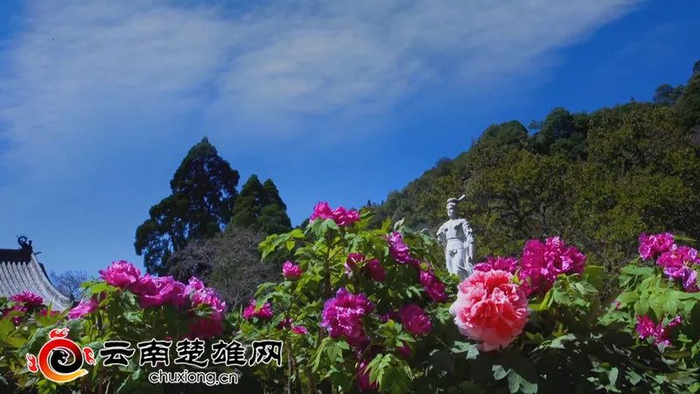 狮子山景区 图源：云南楚雄网