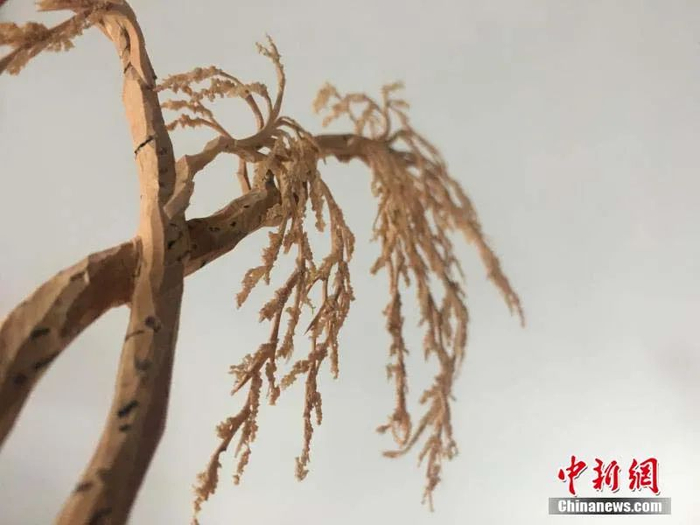 软木画树雕。受访者供图