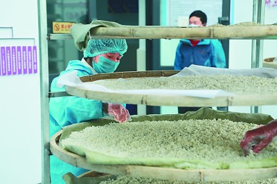 那曲市聂荣县色庆乡多种经营合作社工人正在劳作。光明日报记者 刘江伟摄