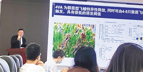 中国科学院院士康乐在科普讲座。 本报记者 沈 慧摄