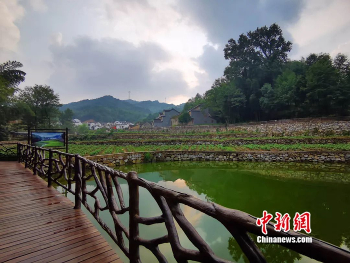 　　大湾村的村景。张俊/摄