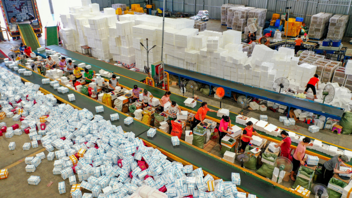 ▲东云果业的分拣中心里，工人们正在忙着将百香果进行分拣，并打包成3公斤、5公斤不等的电商标准件。48个小时内，这些包裹将从南宁分拨中心发往全国各地消费者的餐桌。（颜篁/摄）