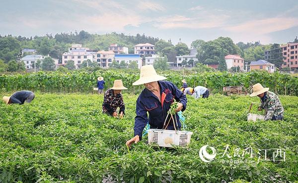 江西萍乡安源区：农村公路提档升级 “村村痛”变“村村通”