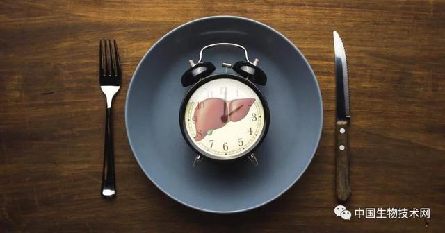 Science：吃饭时间影响生物钟与代谢健康
