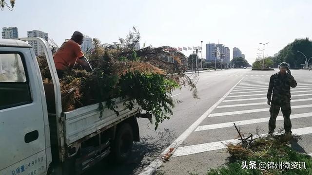 锦州各个公园、广场、绿地大变样！来看看