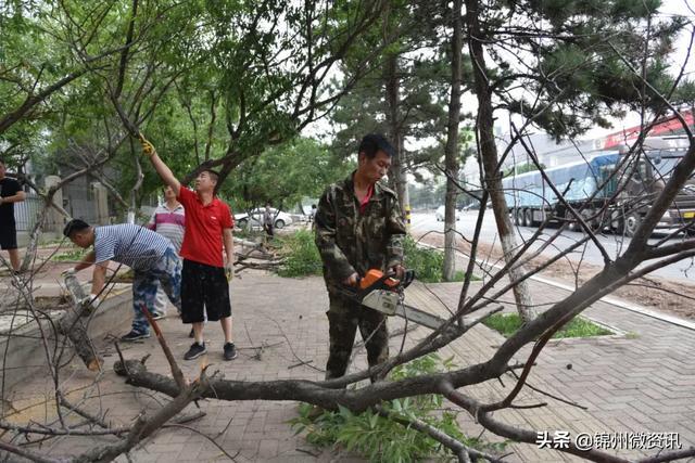 锦州各个公园、广场、绿地大变样！来看看