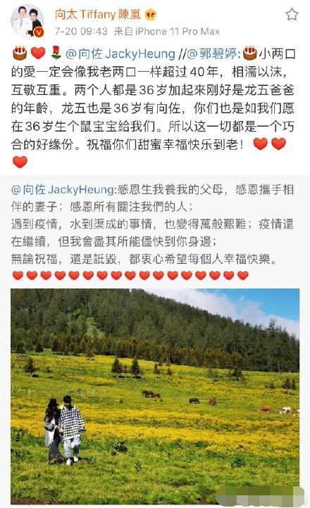 向太透露向佐正紧急办手续去台北陪郭碧婷待产，并在当地领证结婚