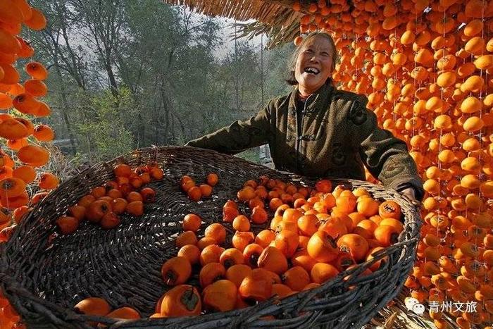 “畅游青州 乐享生活”主题游发布