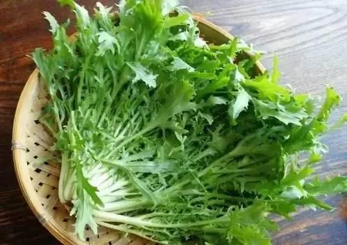 这4种野菜是天然“降火菜”，多吃延年益寿，还能补充微量元素！