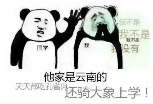 “大眼怪”蜂猴在工业园区爬树？！云南人解释不清了······