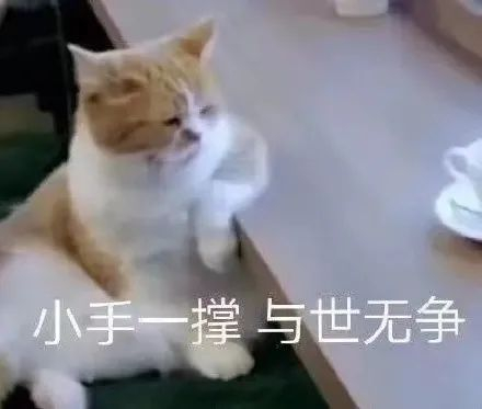 从“美神”到土上热搜，姜思达这是经历了什么？