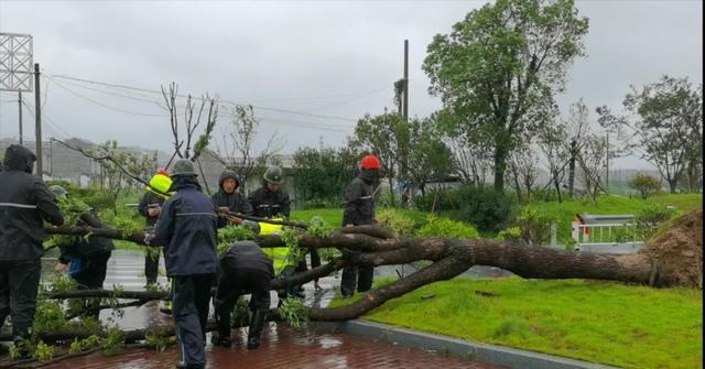 迎战台风“黑格比”，温岭全城在行动！