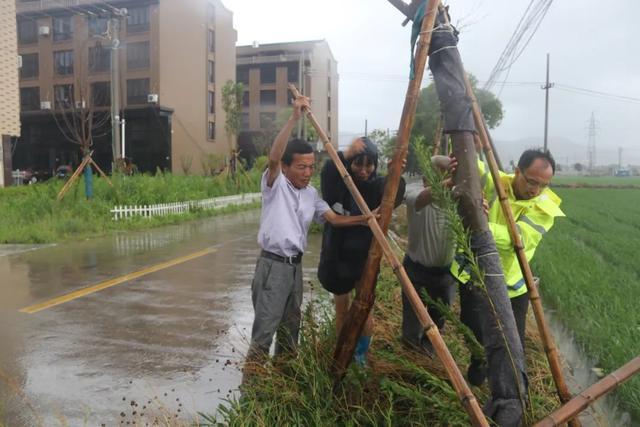 迎战台风“黑格比”，温岭全城在行动！