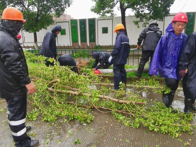 迎战台风“黑格比”，温岭全城在行动