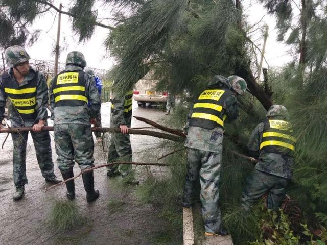 迎战台风“黑格比”，温岭全城在行动！