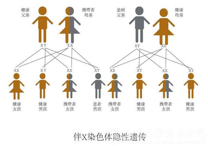 切断遗传病传播链，山东大学齐鲁医院遗传病多学科门诊启动