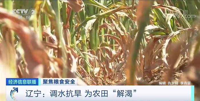 联合国：前所未有的粮食危机正在迫近！中国情况如何？要“囤粮”吗?