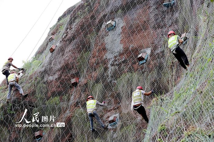 四川仁寿：道路安全“织网人”