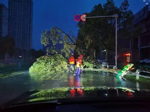 迎战台风“黑格比”，温岭全城在行动