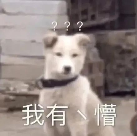 从“美神”到土上热搜，姜思达这是经历了什么？