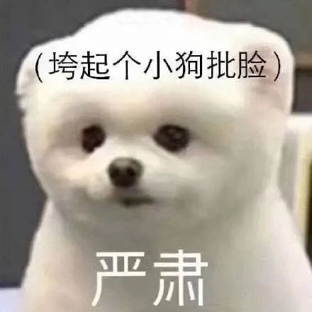 从“美神”到土上热搜，姜思达这是经历了什么？