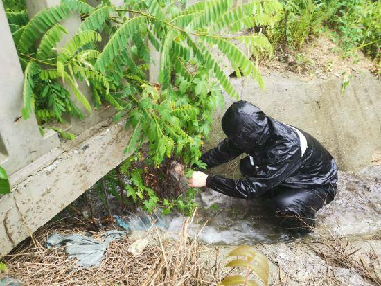 雷雨大风天气 沈铁采取多种措施保障列车运行安全